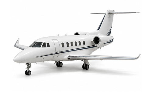 falcon 10 served by Buell aero group